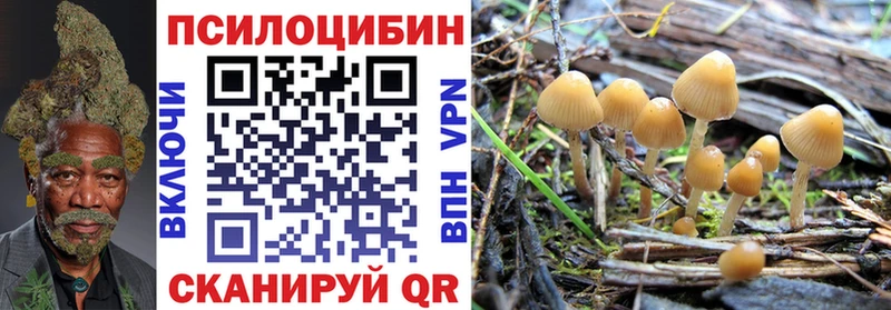 Псилоцибиновые грибы мицелий  закладка  Нижневартовск 